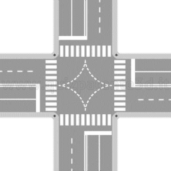 STRISCE DI GUIDA